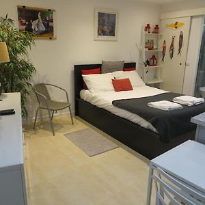 Feels Like Home Casa Carol Mouraria